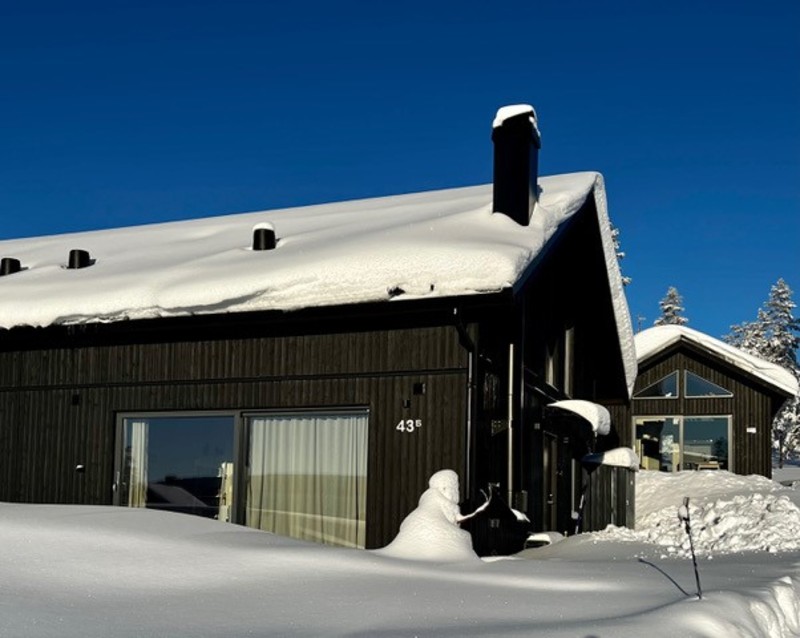 Ute vinter